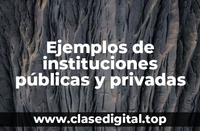 Ejemplos de instituciones públicas y privadas