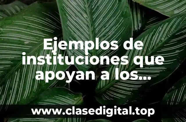 Ejemplos de instituciones que apoyan a los adolescentes