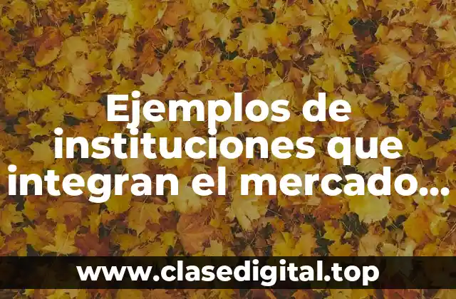 Ejemplos de instituciones que integran el mercado de dinero