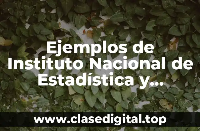 Ejemplos de Instituto Nacional de Estadística y Geografía de México