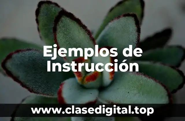 Ejemplos de Instrucción
