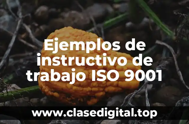 Ejemplos de instructivo de trabajo ISO 9001