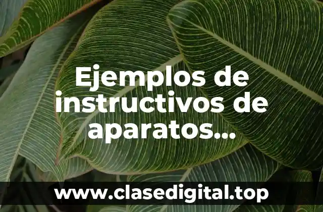 Ejemplos de instructivos de aparatos electrónicos y Significado