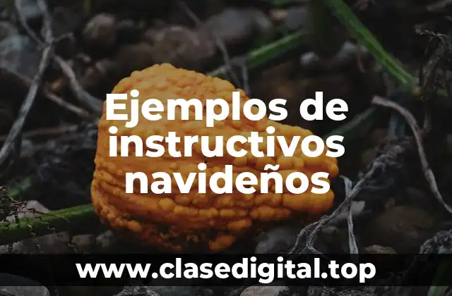 Ejemplos de instructivos navideños