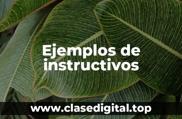 Ejemplos de instructivos