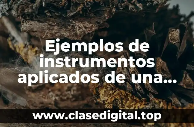 Ejemplos de instrumentos aplicados de una tesis de desercion escolar y Significado