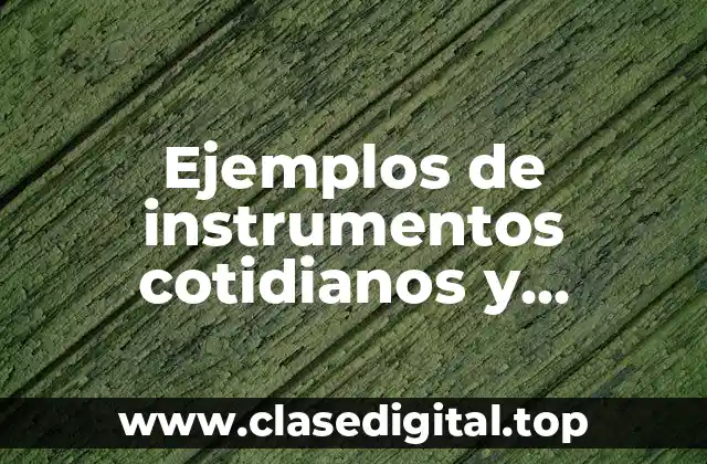 Ejemplos de instrumentos cotidianos y Significado