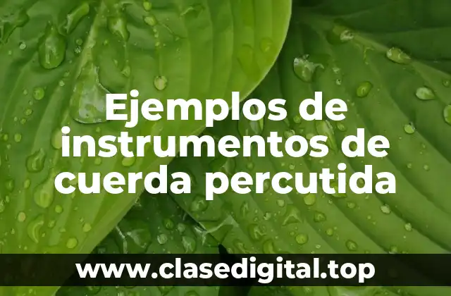 Ejemplos de instrumentos de cuerda percutida