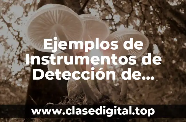 Ejemplos de Instrumentos de Detección de Necesidades de Capacitación