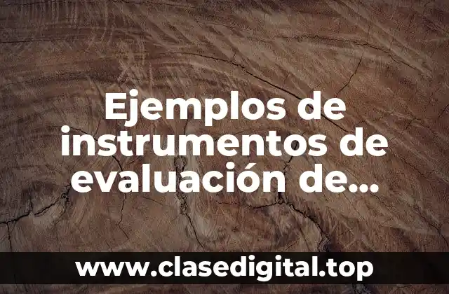 Ejemplos de instrumentos de evaluación de desempeño laboral
