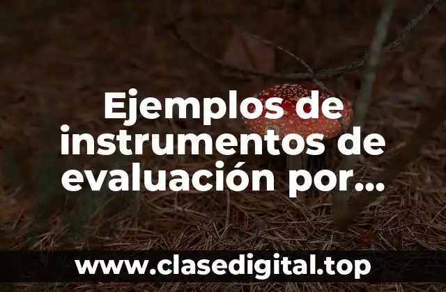 Ejemplos de instrumentos de evaluación por competencias