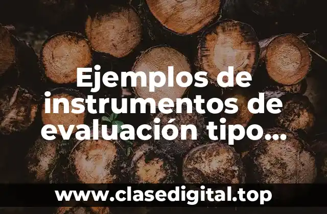 Ejemplos de instrumentos de evaluación tipo conceptual