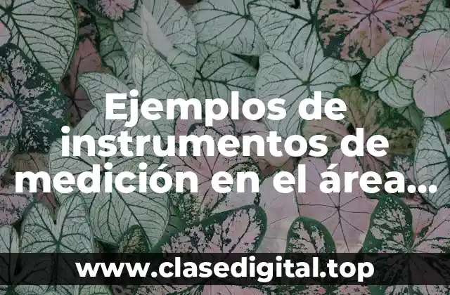 Ejemplos de instrumentos de medición en el área gastronómica