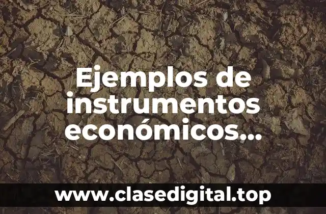 Ejemplos de instrumentos económicos ambientales y Significado