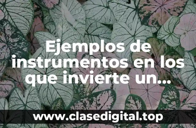 Ejemplos de instrumentos en los que invierte un inversionista conservador y Significado