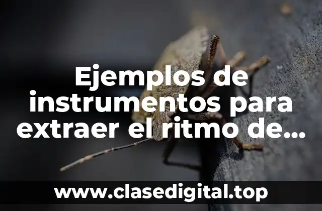 Ejemplos de instrumentos para extraer el ritmo de aprendizaje