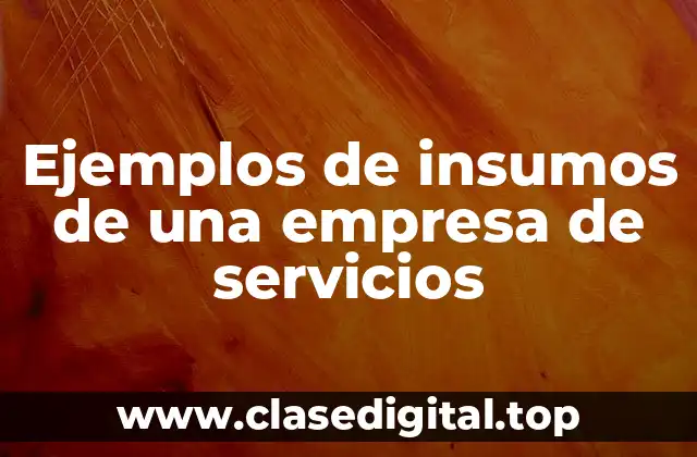Ejemplos de insumos de una empresa de servicios