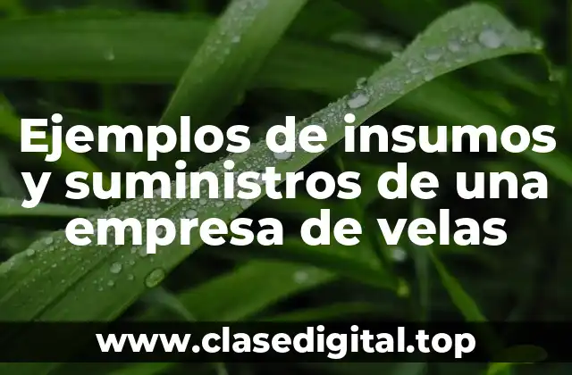 Ejemplos de insumos y suministros de una empresa de velas