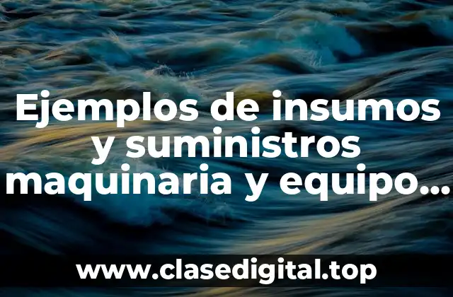 Ejemplos de insumos y suministros maquinaria y equipo del proyecto