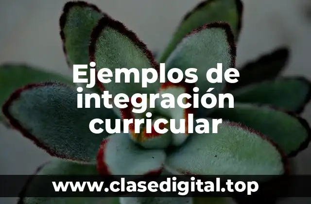 Ejemplos de integración curricular
