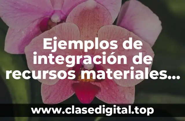 Ejemplos de integración de recursos materiales de una empresa y Significado