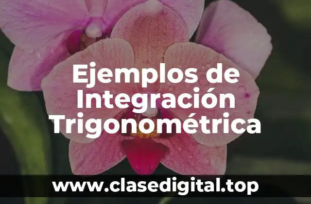 Ejemplos de Integración Trigonométrica