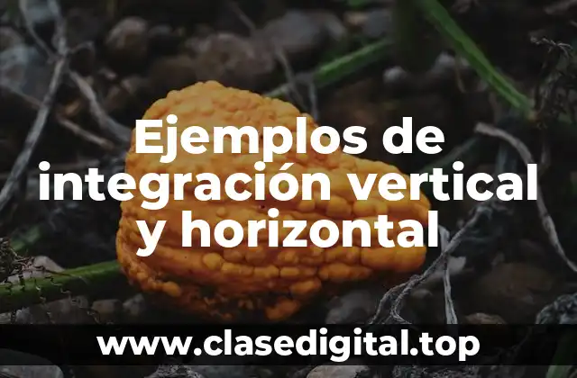 Ejemplos de integración vertical y horizontal