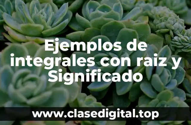 Ejemplos de integrales con raiz y Significado