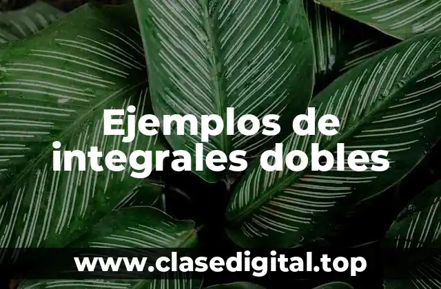 Ejemplos de integrales dobles