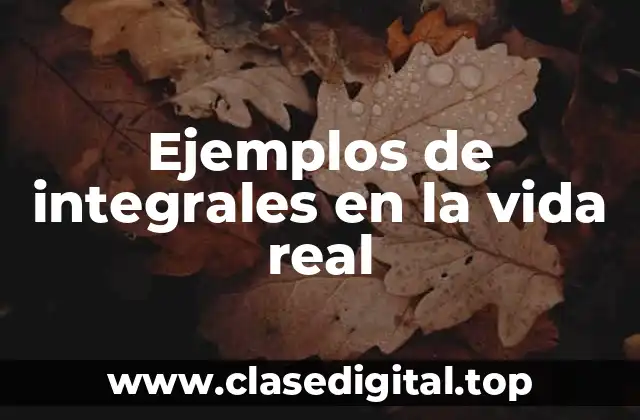 Ejemplos de integrales en la vida real
