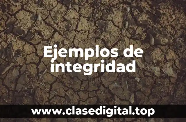 Ejemplos de integridad