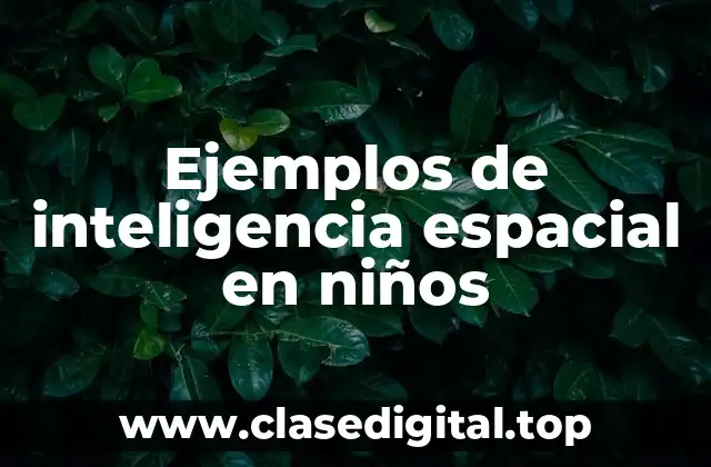 Ejemplos de inteligencia espacial en niños
