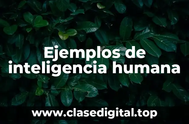 Ejemplos de inteligencia humana