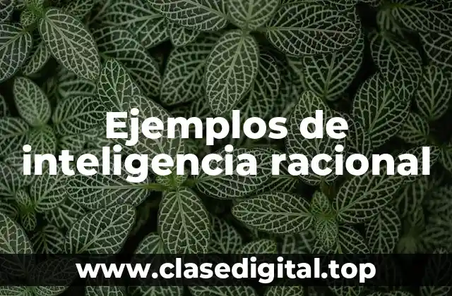 Ejemplos de inteligencia racional