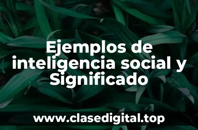 Ejemplos de inteligencia social y Significado