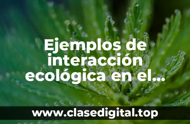 Ejemplos de interacción ecológica en el estado de México y Significado