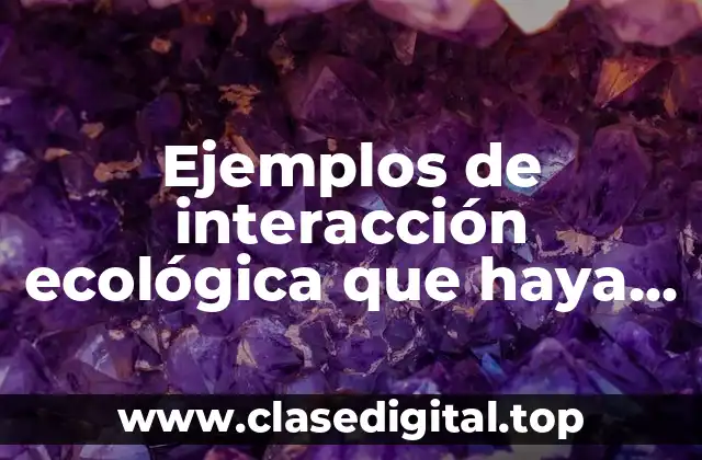 Ejemplos de interacción ecológica que haya en dicho entorno