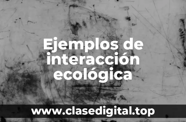 Ejemplos de interacción ecológica