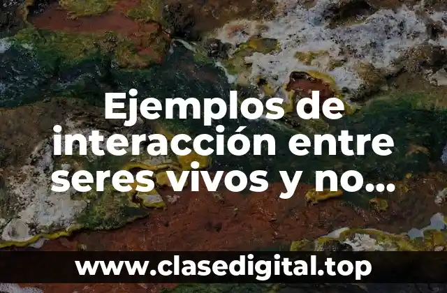 Ejemplos de interacción entre seres vivos y no vivos y Significado