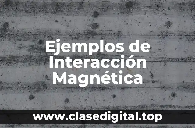 Ejemplos de Interacción Magnética