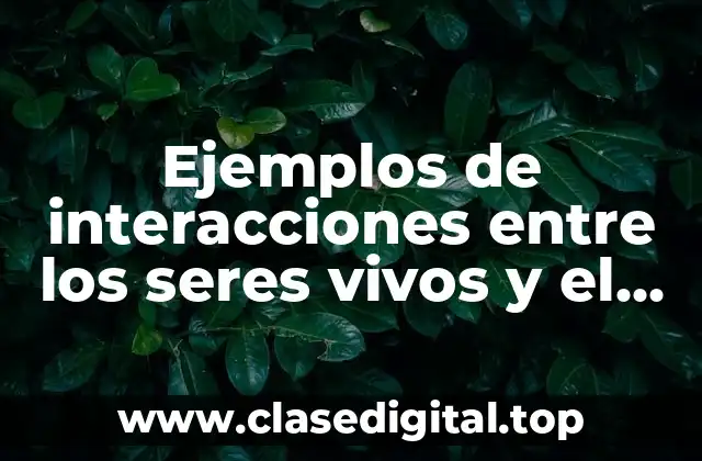 Ejemplos de interacciones entre los seres vivos y el ambiente