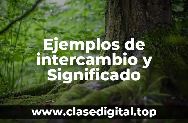 Ejemplos de intercambio y Significado