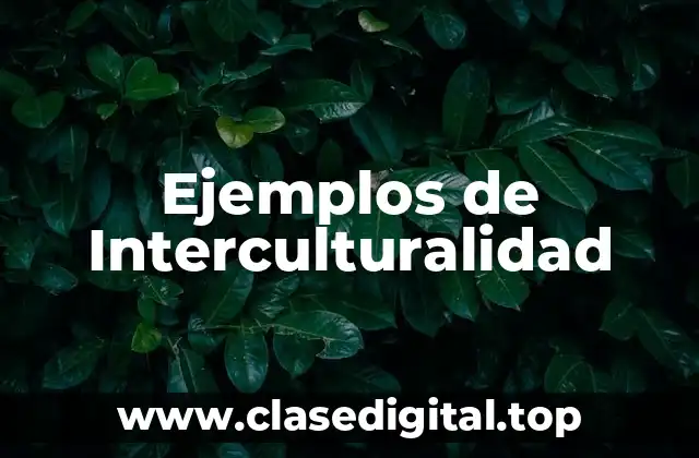 Ejemplos de Interculturalidad