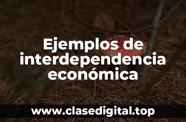 Ejemplos de interdependencia económica