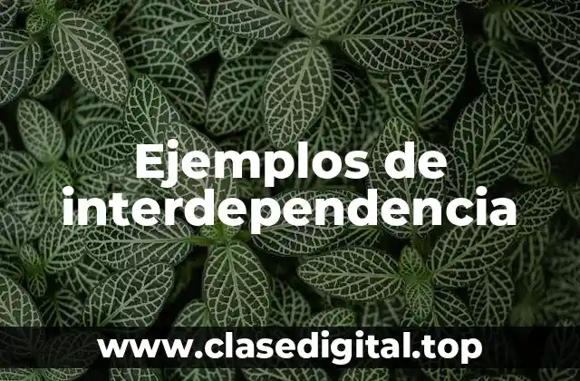 Ejemplos de interdependencia