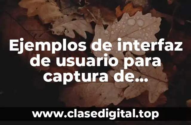 Ejemplos de interfaz de usuario para captura de información