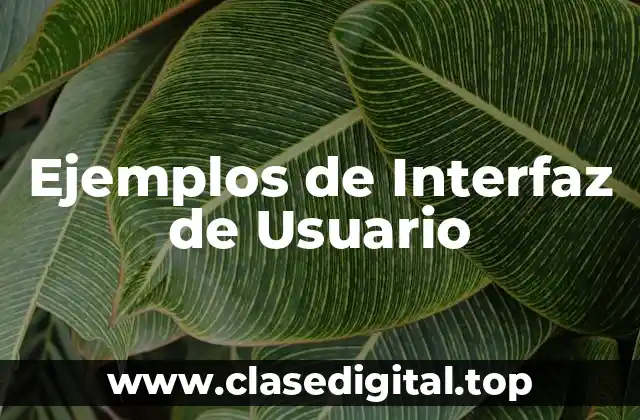 Ejemplos de Interfaz de Usuario