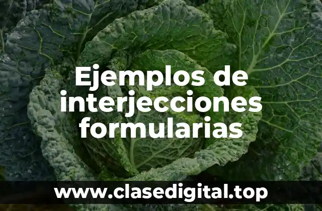 Ejemplos de interjecciones formularias