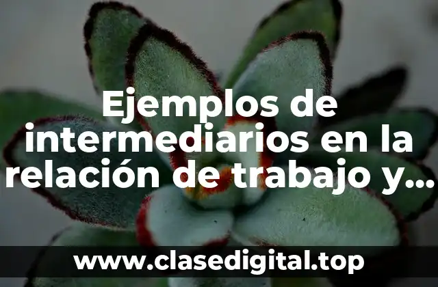 Ejemplos de intermediarios en la relación de trabajo