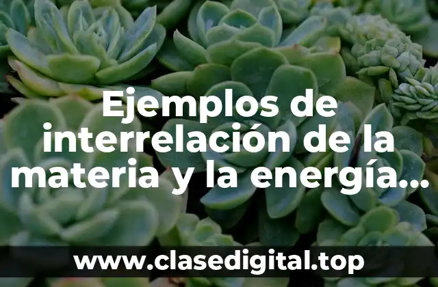 Ejemplos de interrelación de la materia y la energía y Significado